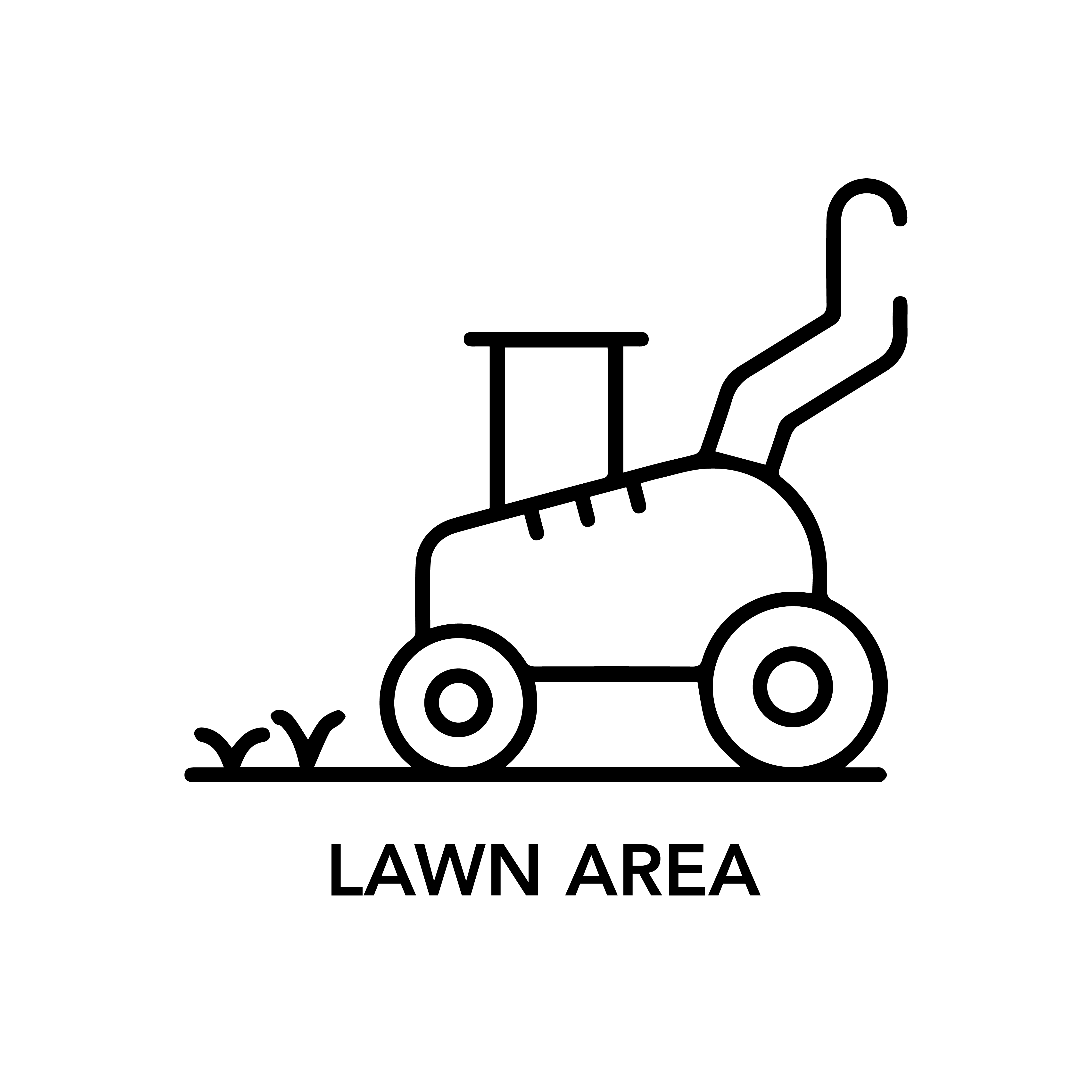 Squash Court